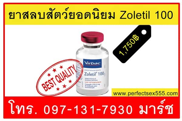 ยาสลบสัตว์ยอดนิยม Zoletil 100